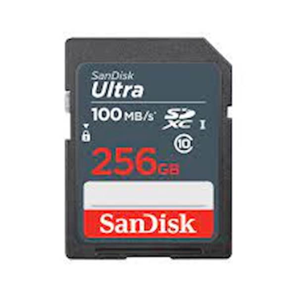 SDXC SanDisk 256GB Ultra, 100MB/s